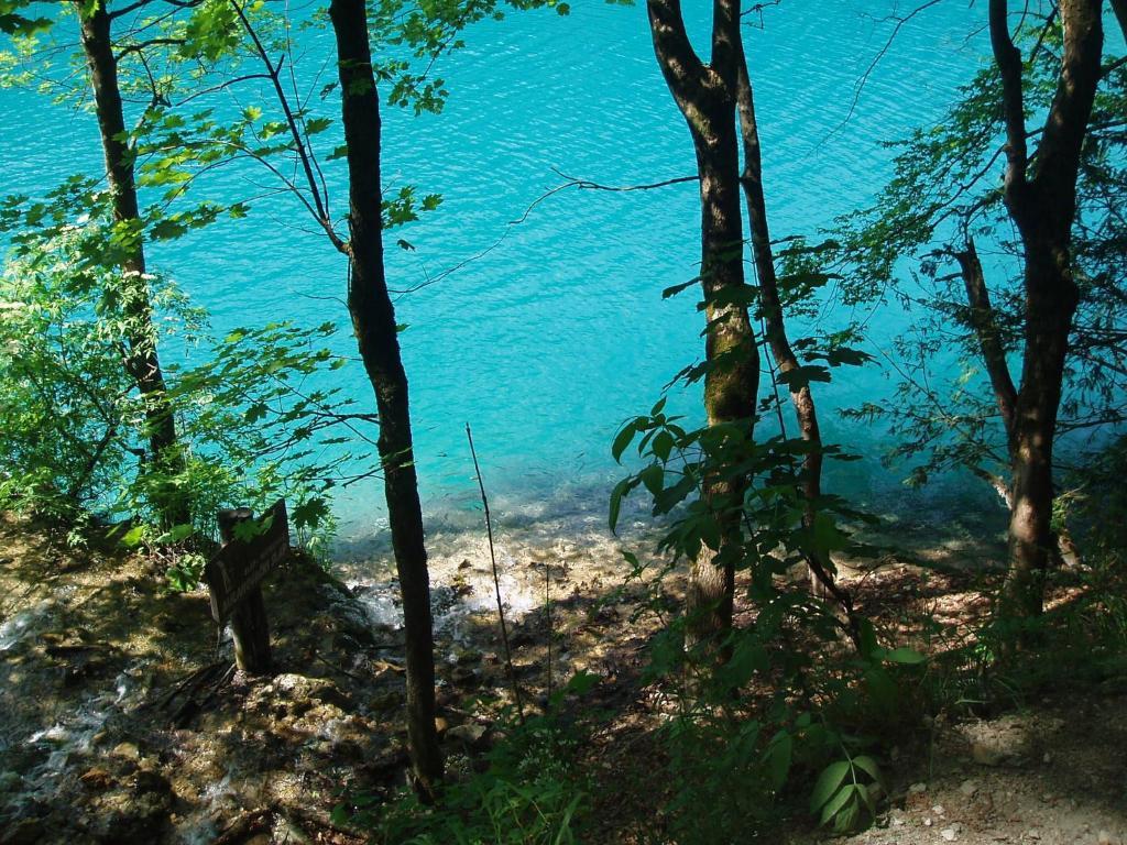Apartments Bramado Selište Drežničko Buitenkant foto